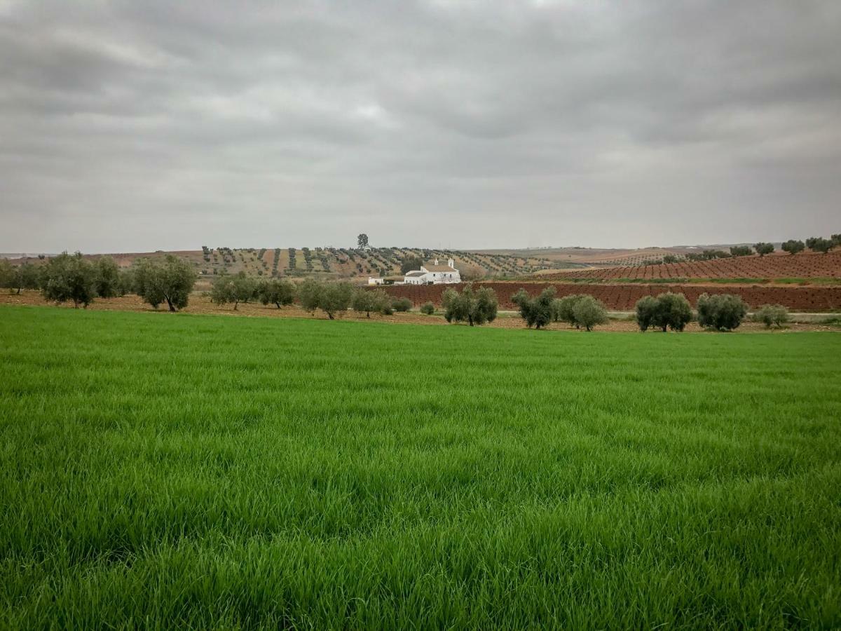 La Hermandad De Villalba Villalba de los Barros ภายนอก รูปภาพ